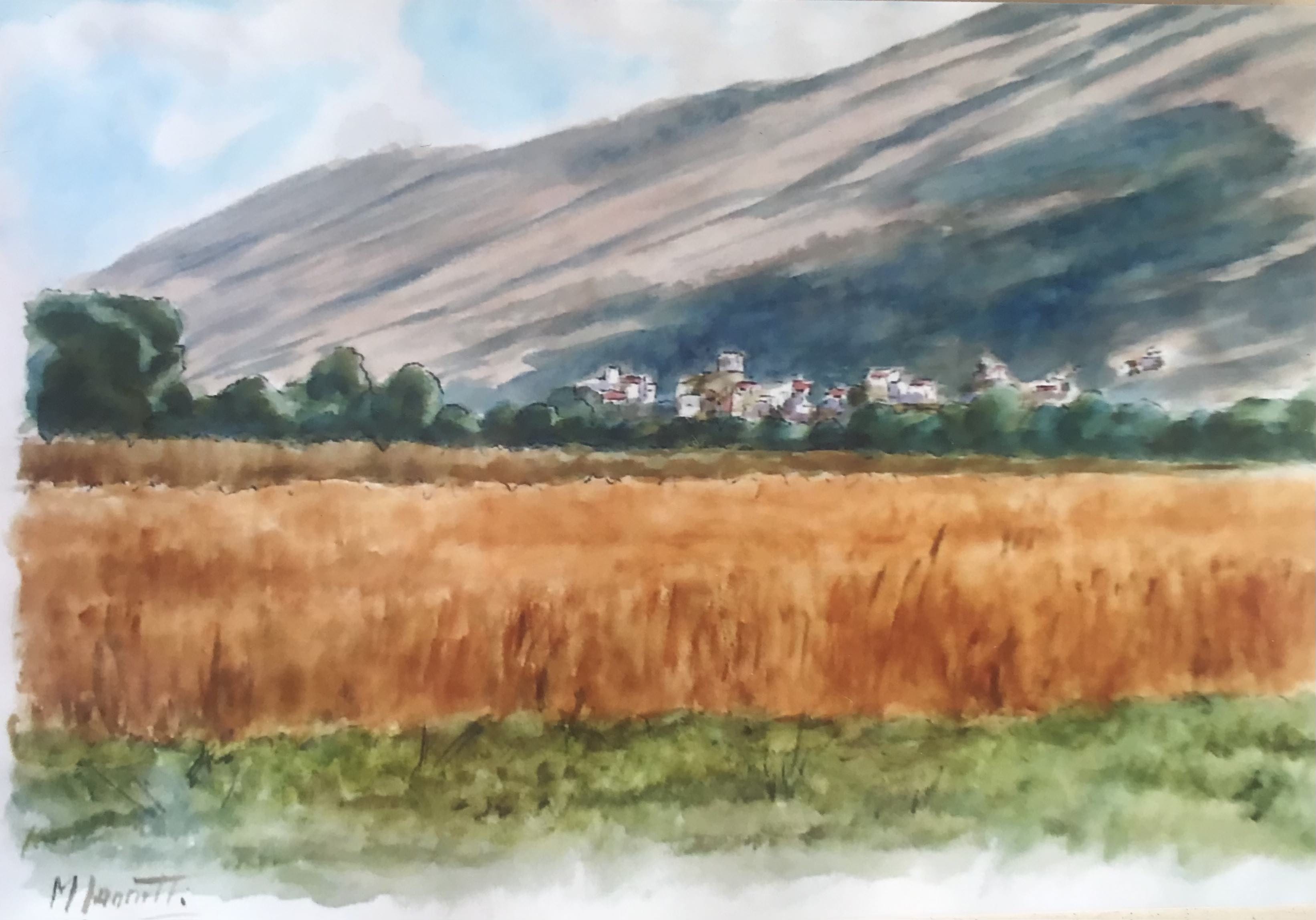 Campo di grano - Acquerello 35x50