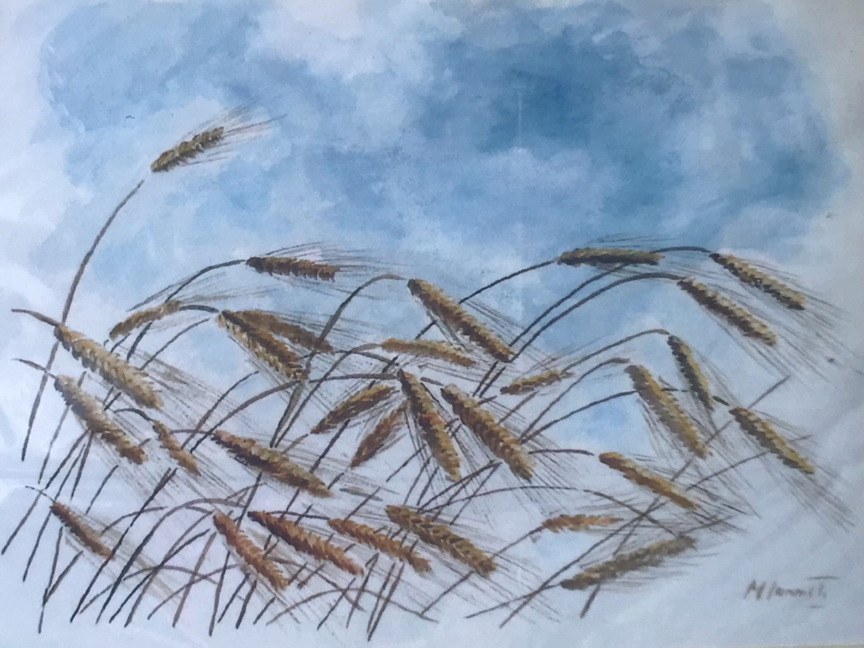 Spighe di grano - acquerello 30x40