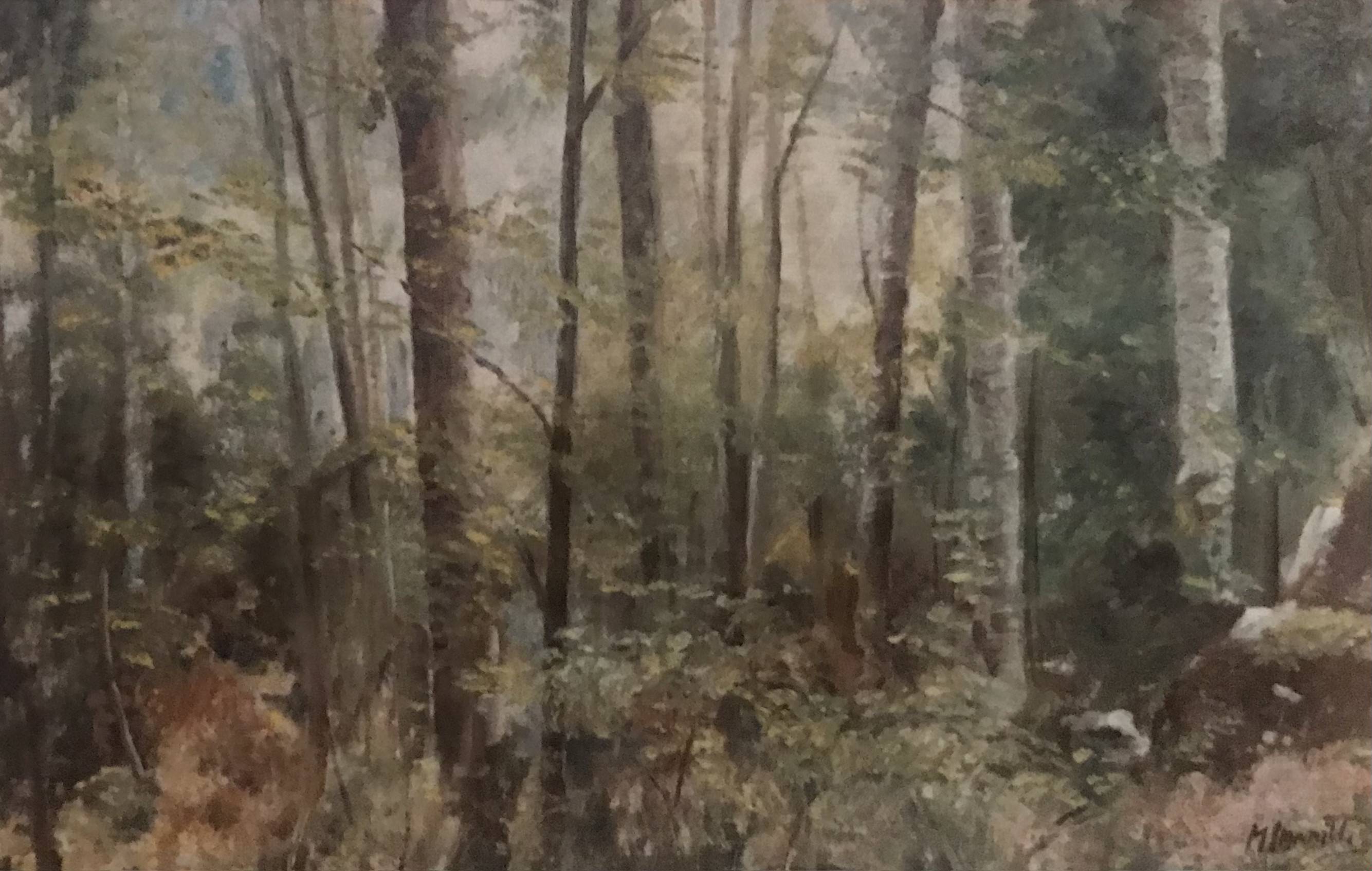 Sottobosco - olio su tela 50x70