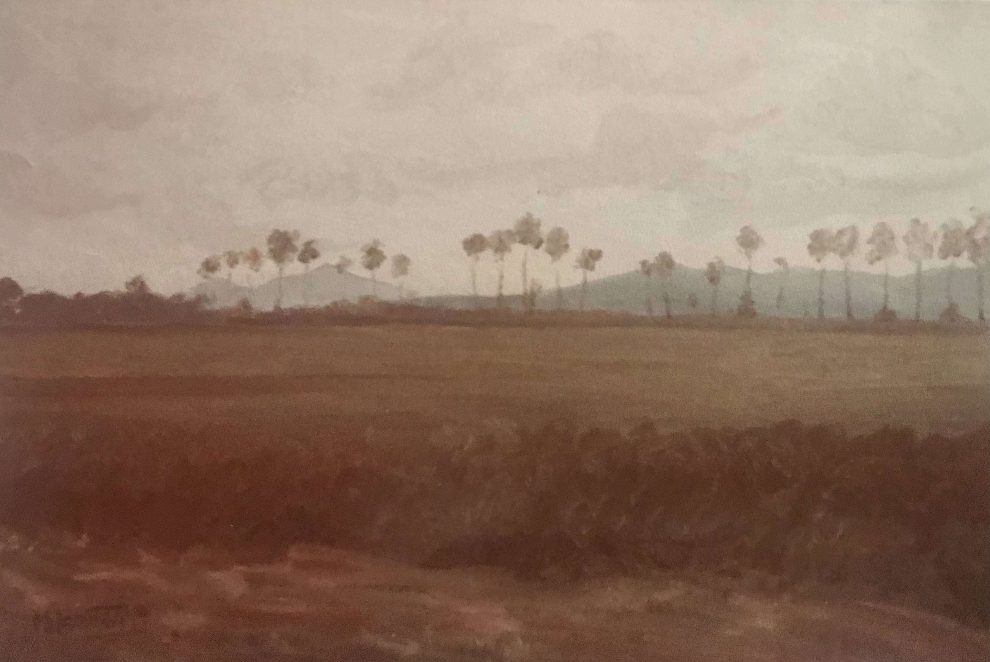 Filare di pioppi - olio su tela 50x70