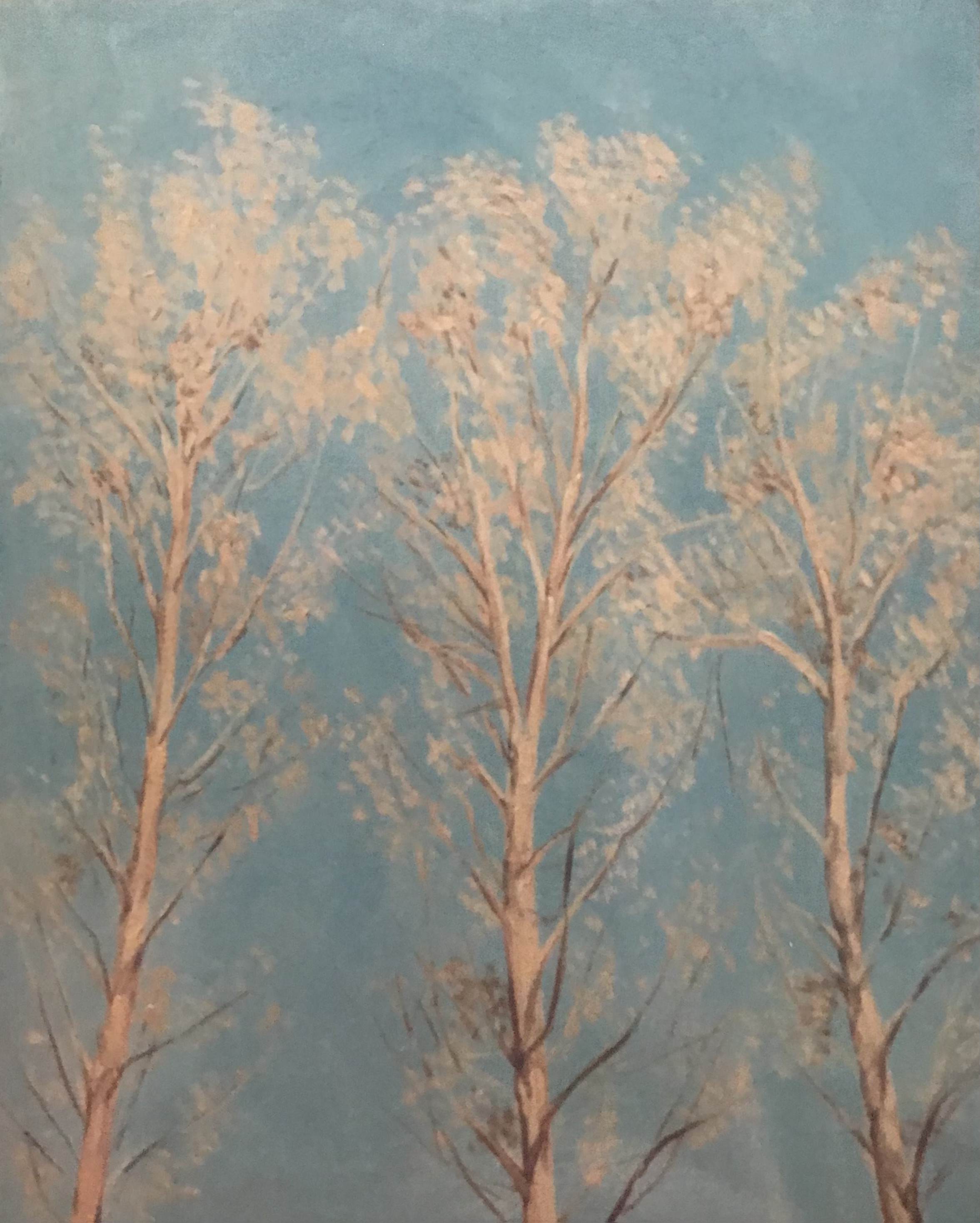 Tre pioppi – Serigrafia