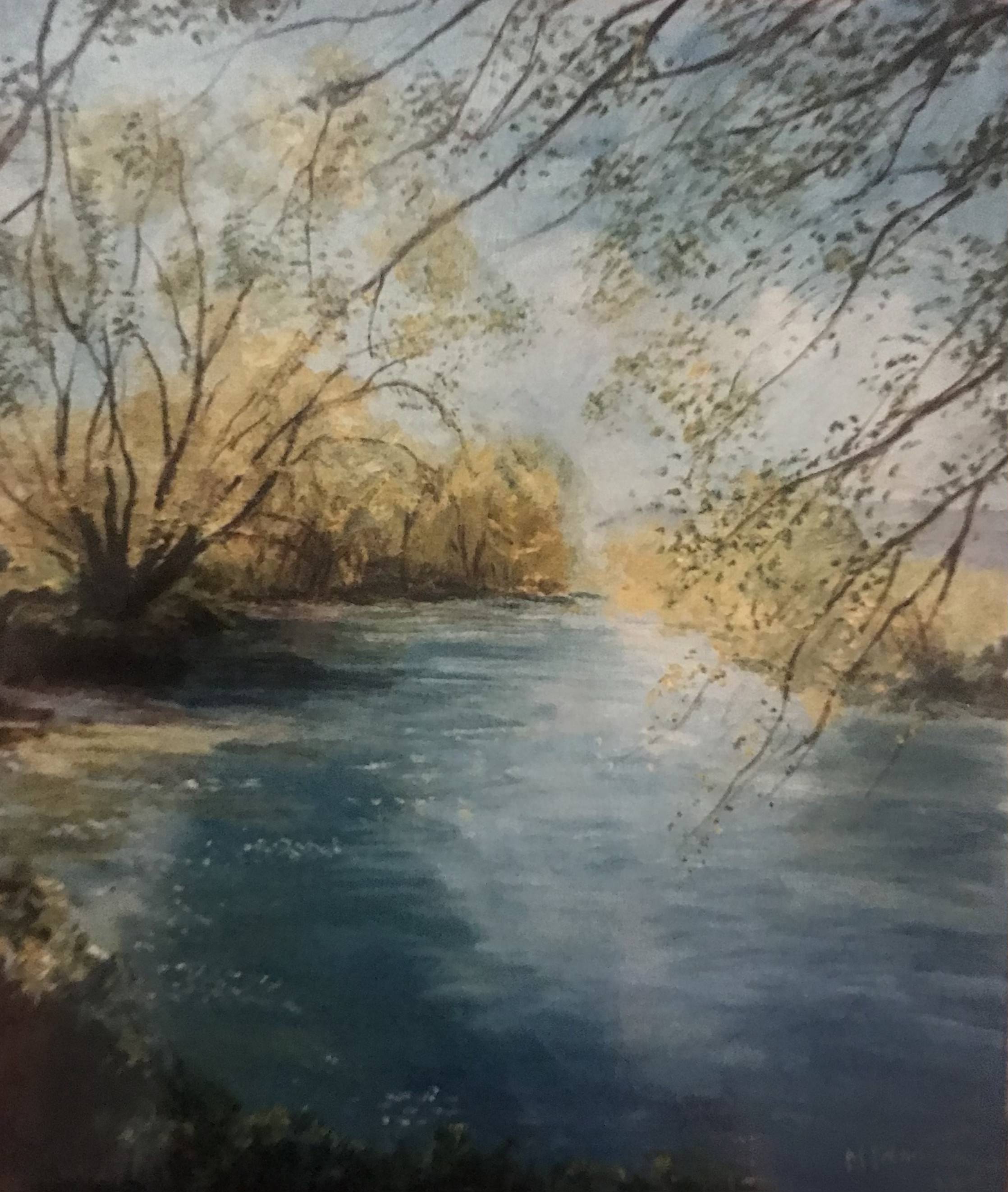 Laghetto in autunno - olio su tela