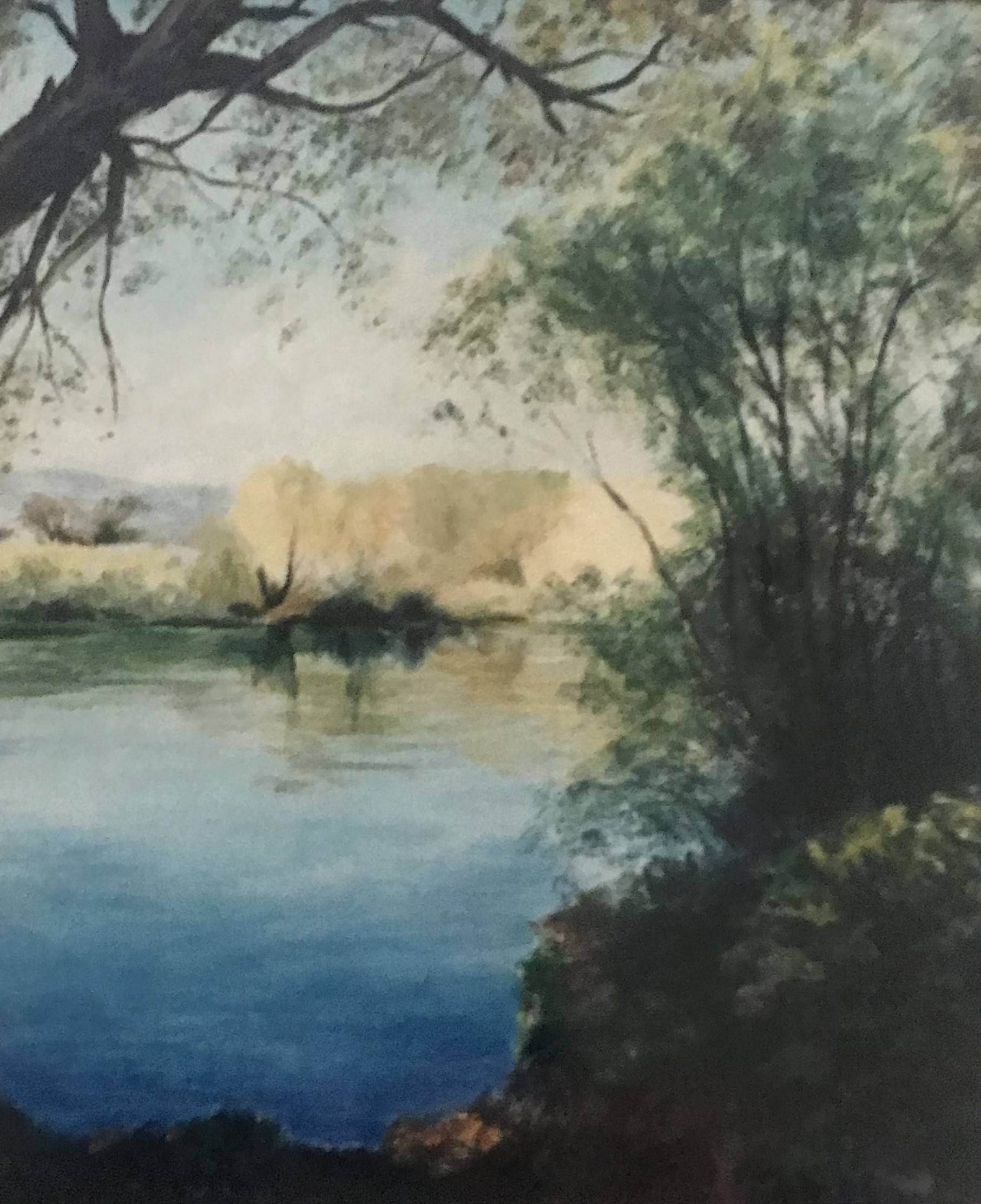 Scorcio di laghetto - olio su tela