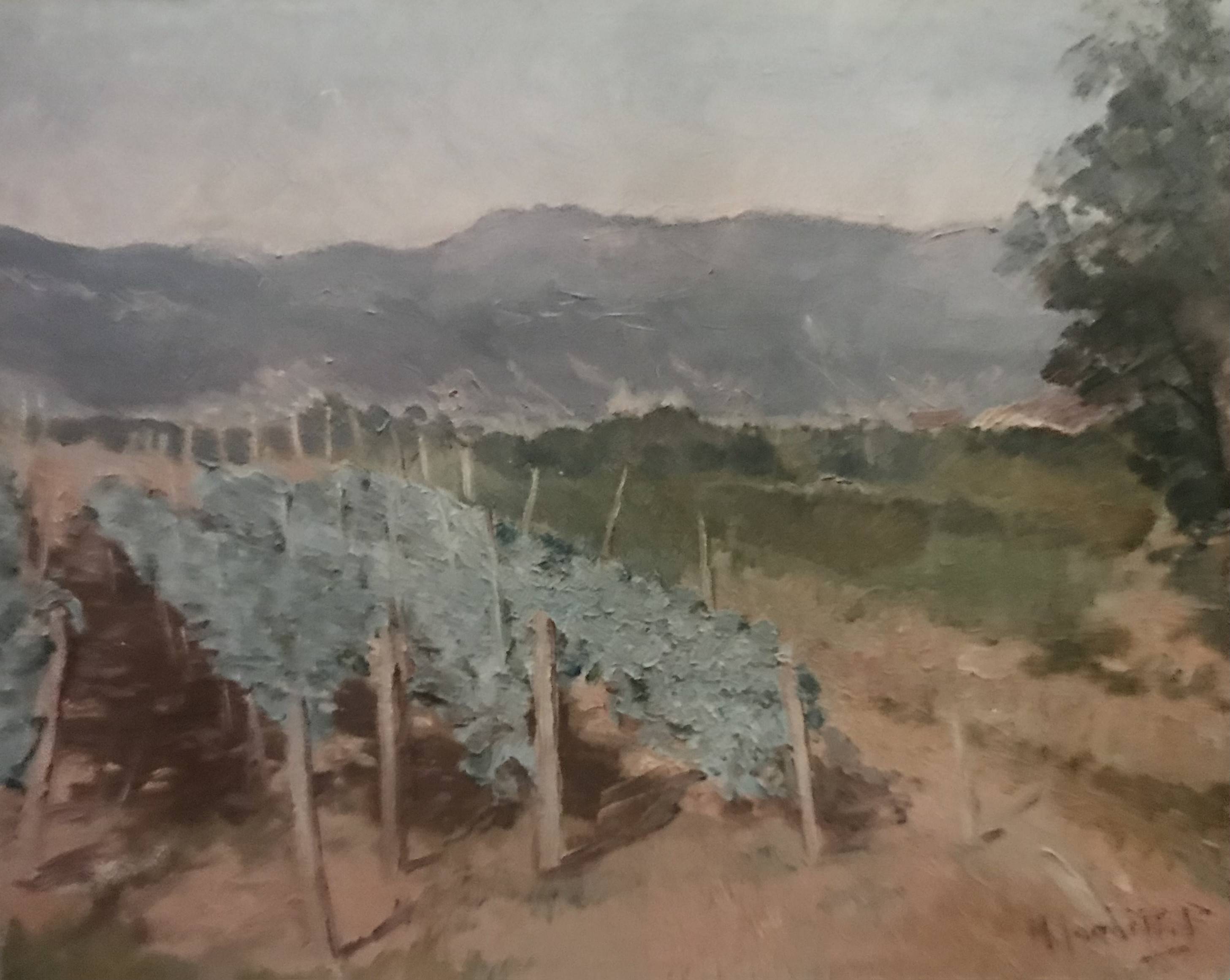 Il vigneto - olio su tela