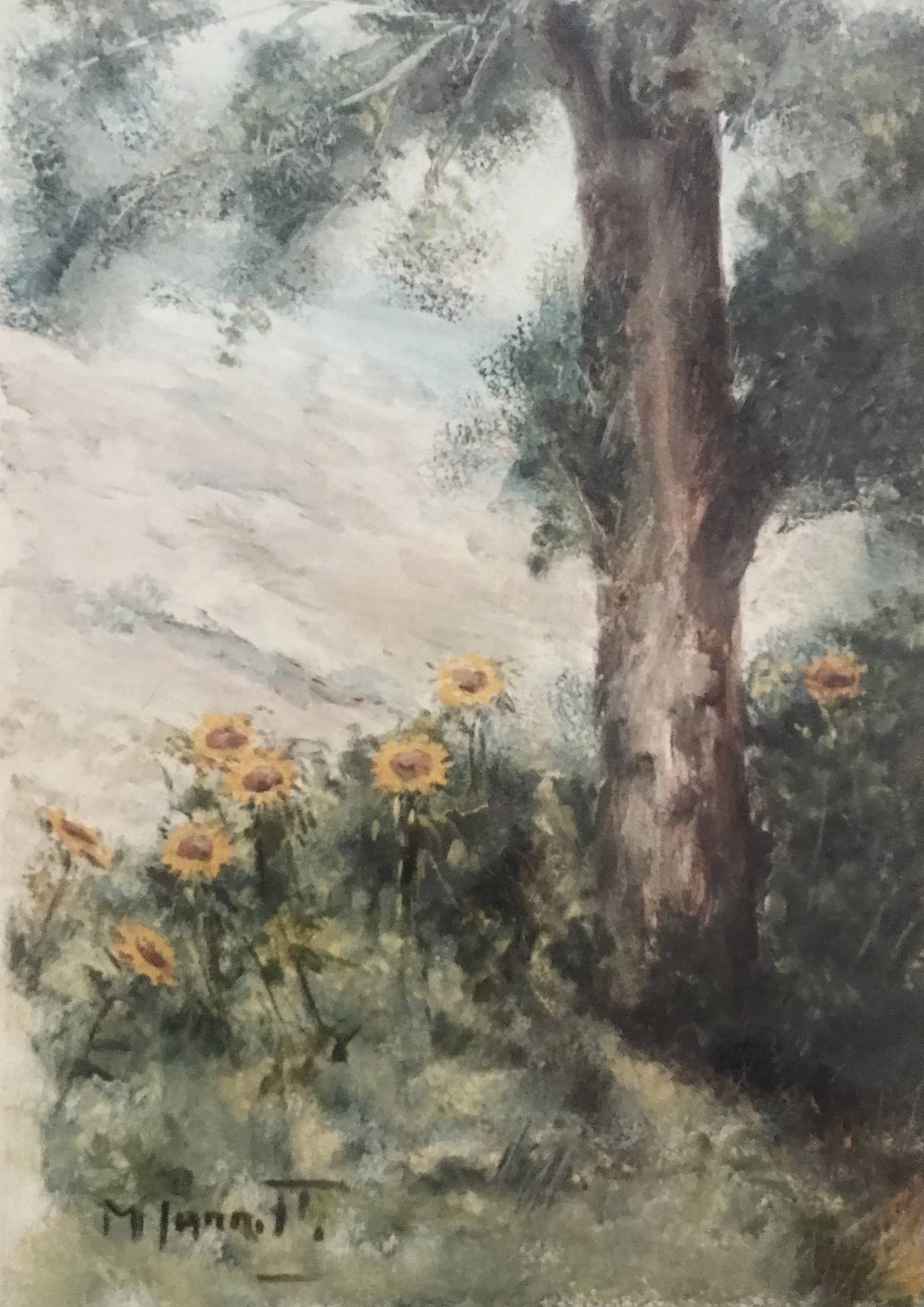 Girasoli in giardino - olio su tela