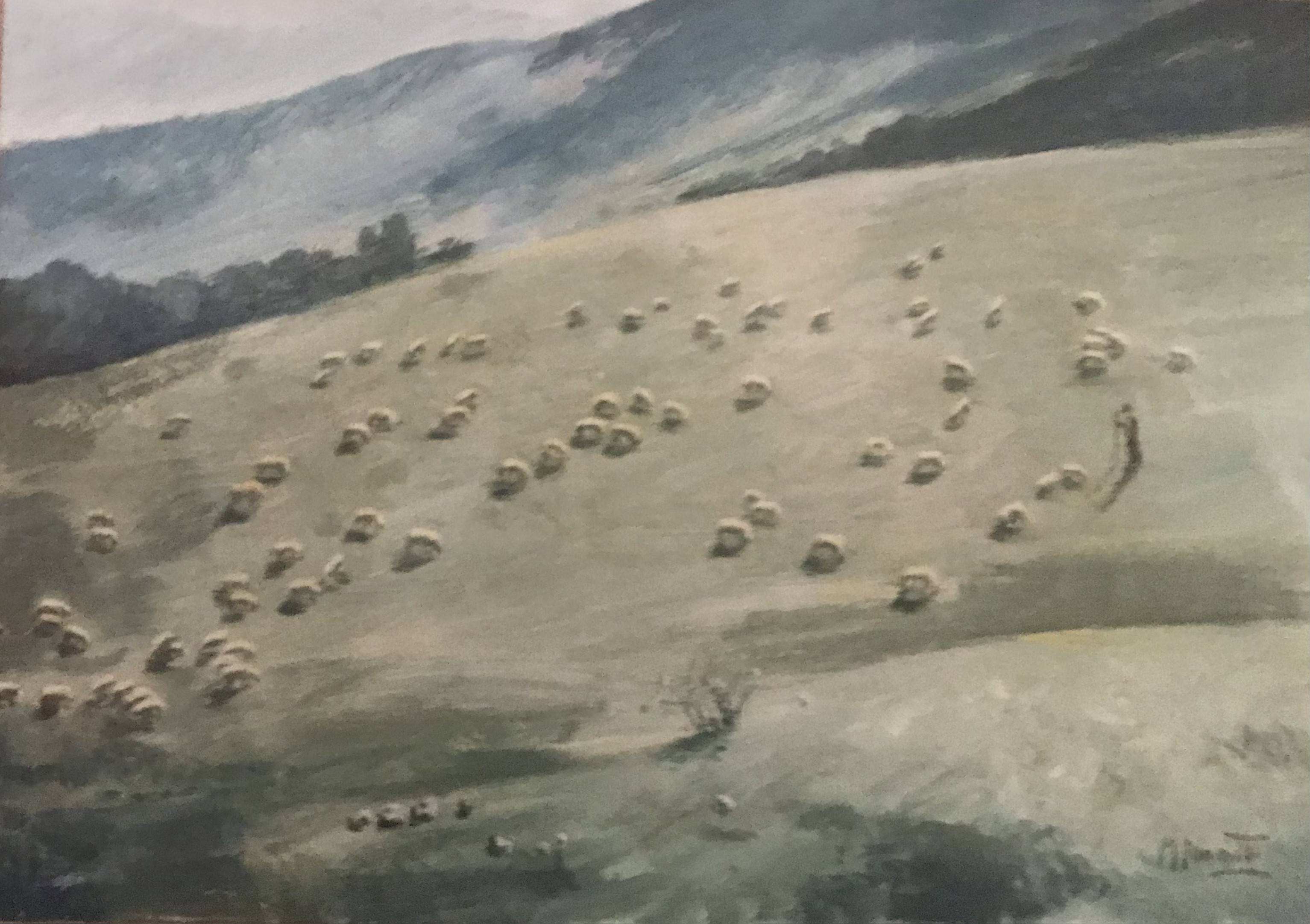 Pecore sparse sulla collina - olio su tela 50x70