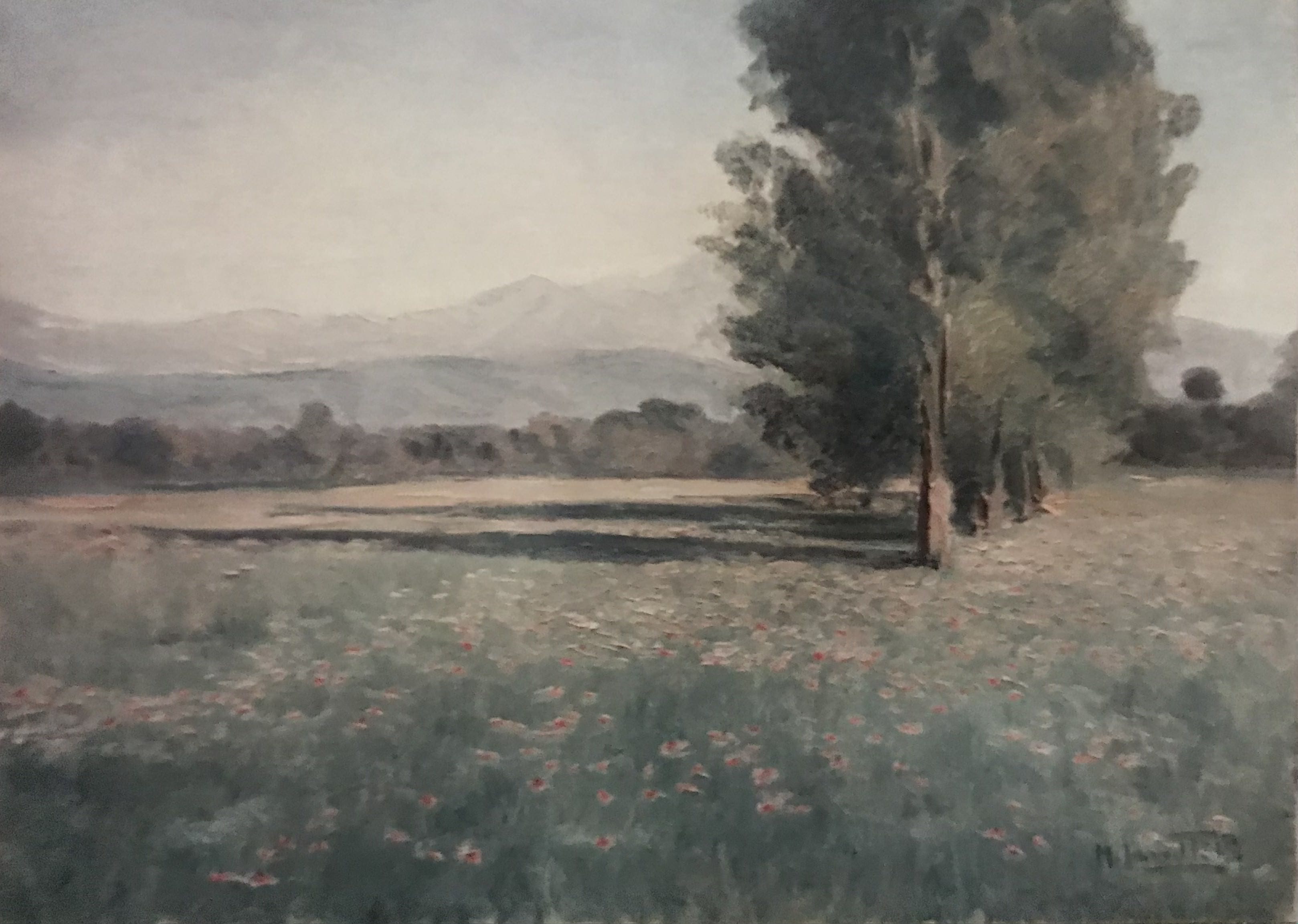 Filare di alberi e sullo sfondo il Velino