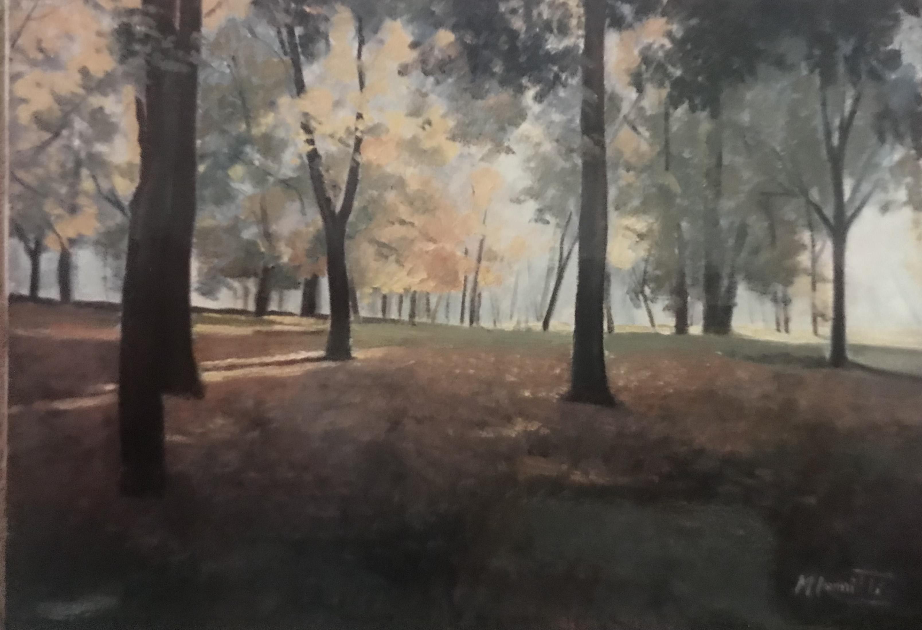 Sottobosco in autunno