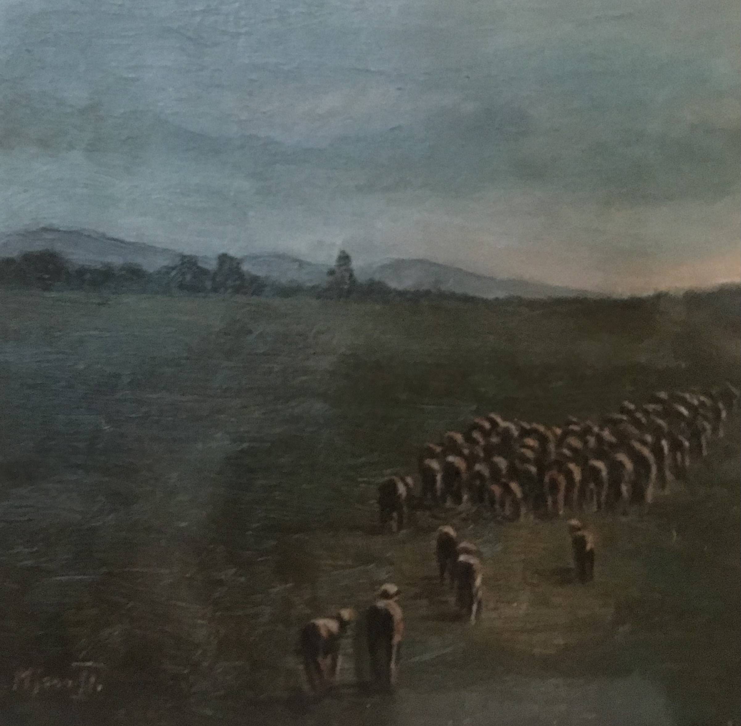 Campagna Romana con gregge - olio su tela