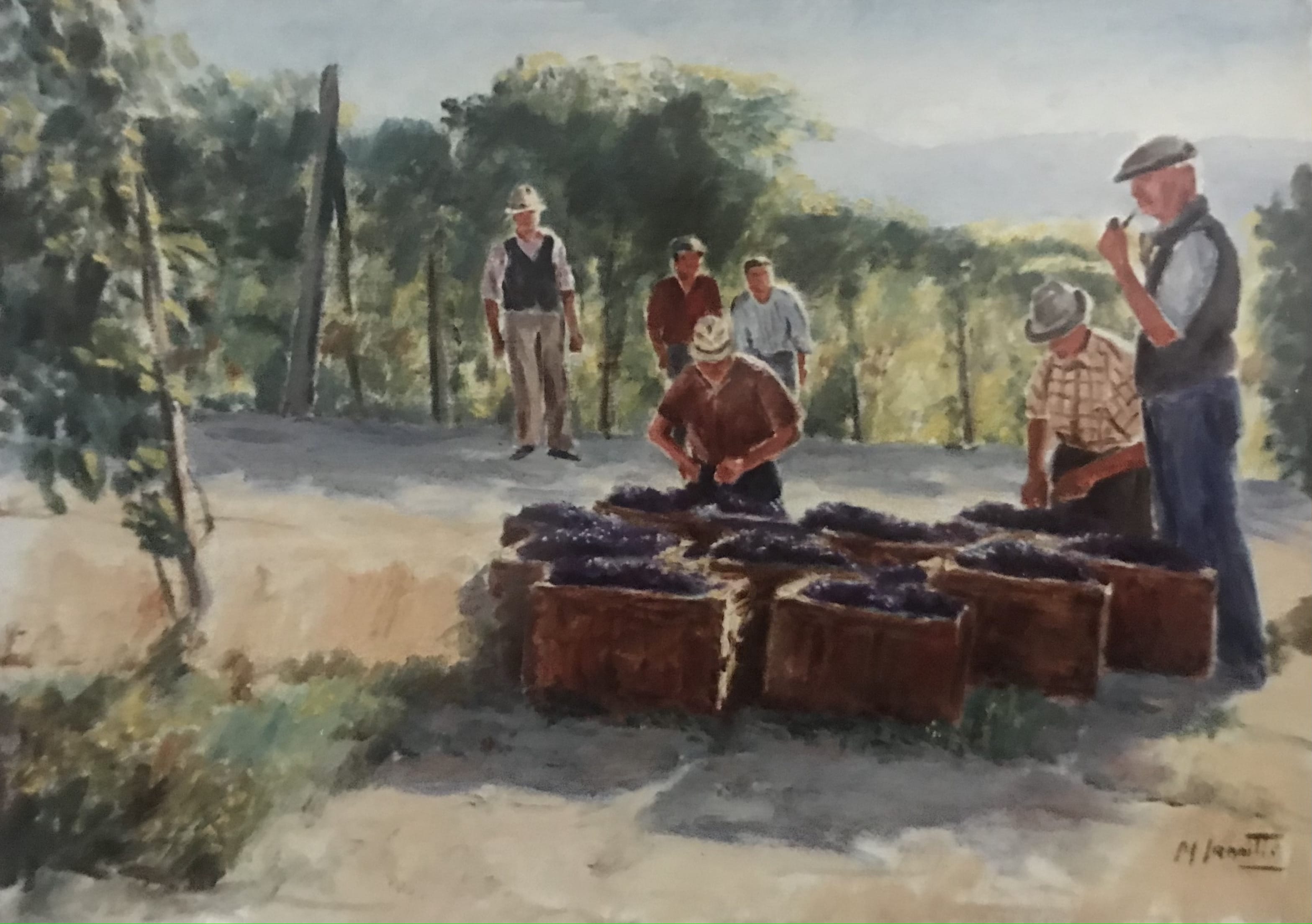 La vendemmia - olio su tela