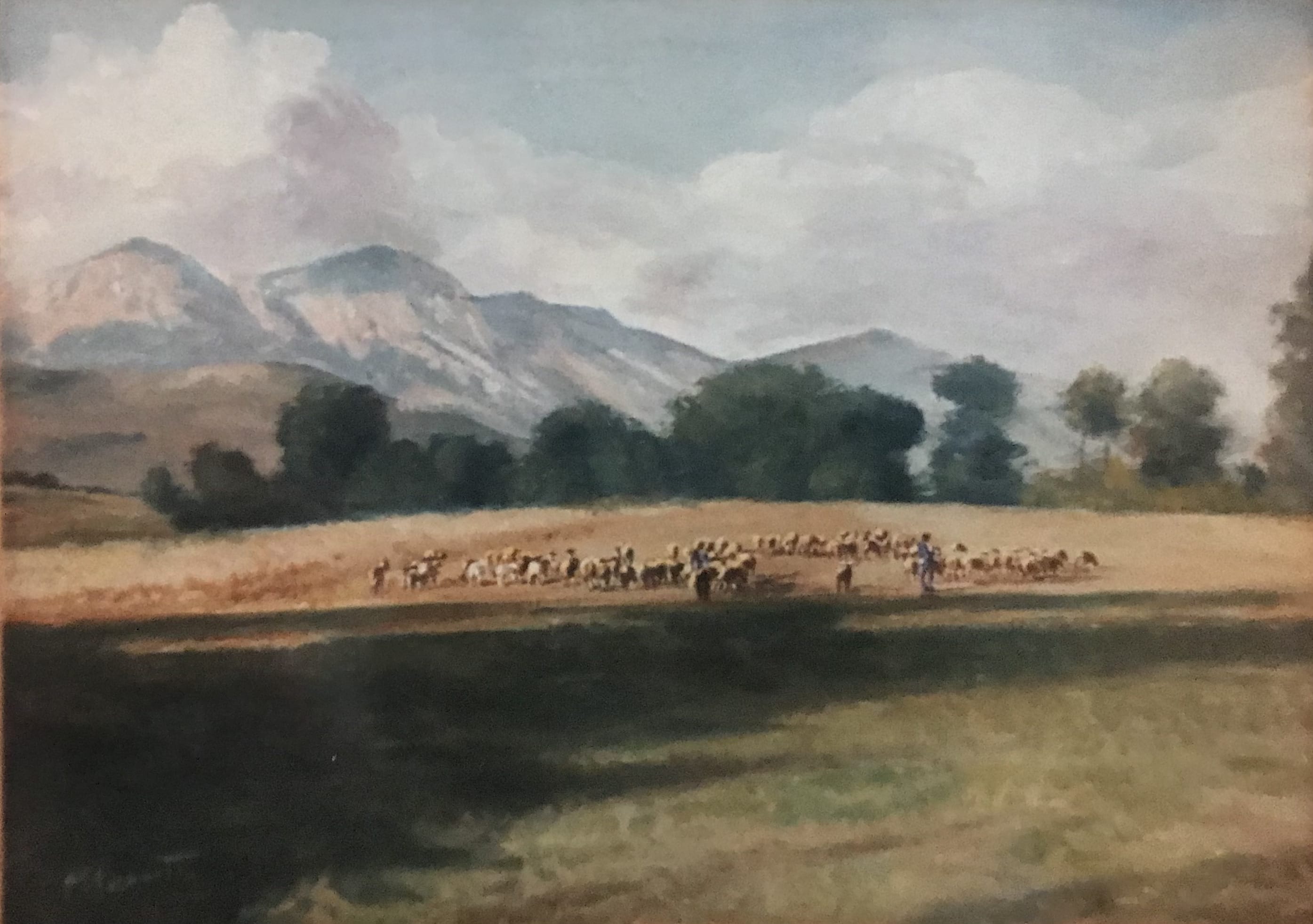 Pascolo gregge al Velino - olio su tela